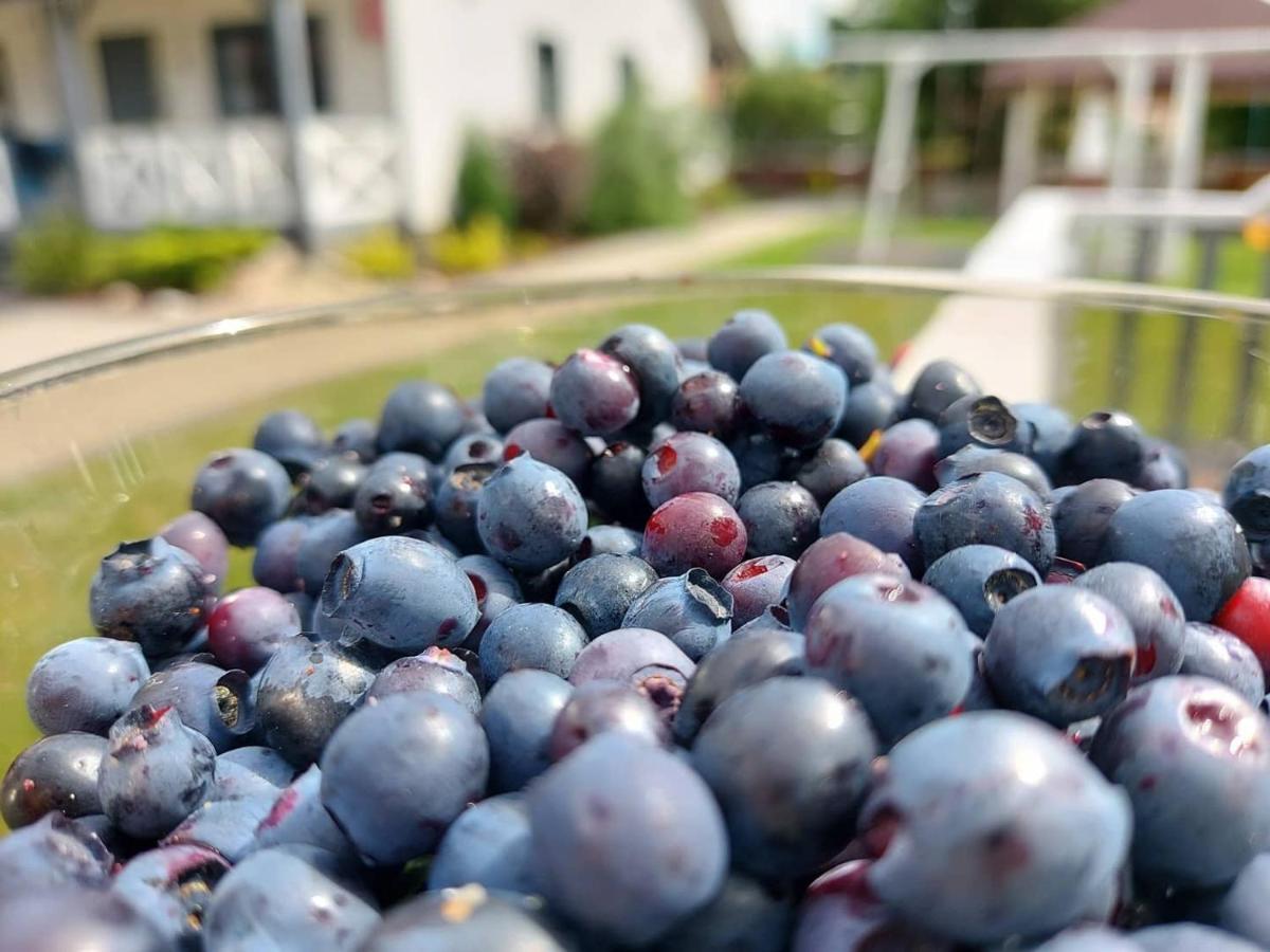 Nadmorz Sztutowo Villa Bagian luar foto