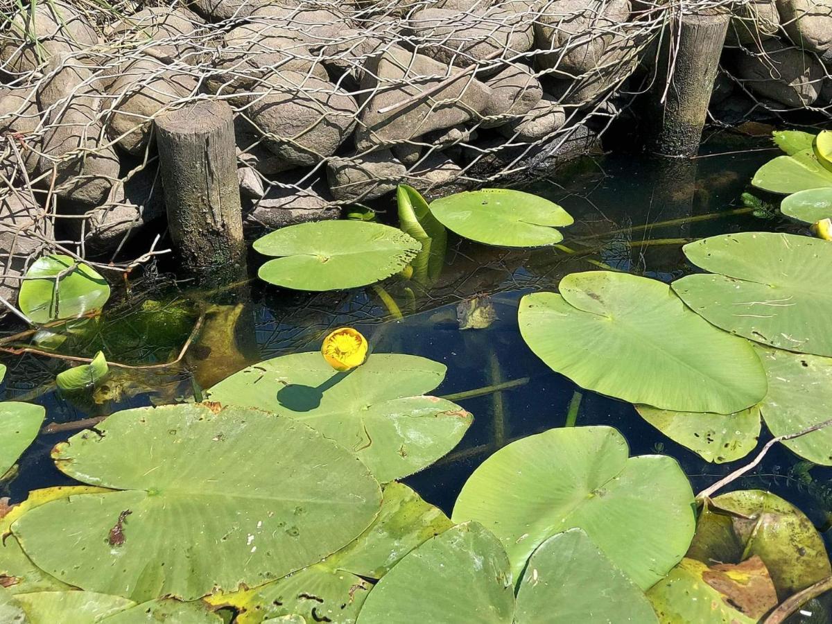 Nadmorz Sztutowo Villa Bagian luar foto